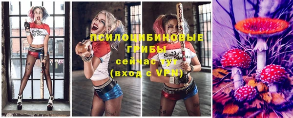 мдпв Покров