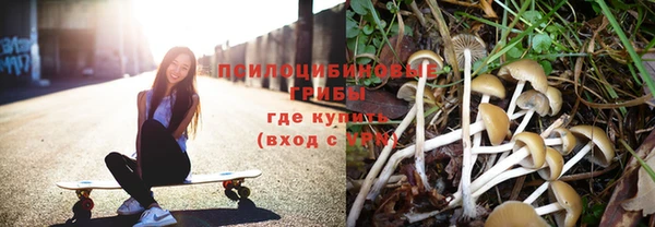 мдпв Покров