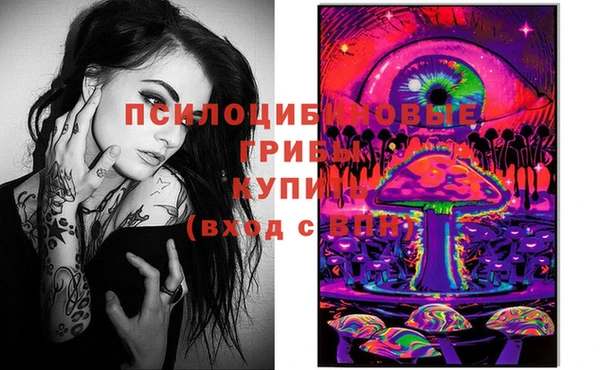 мдпв Покров