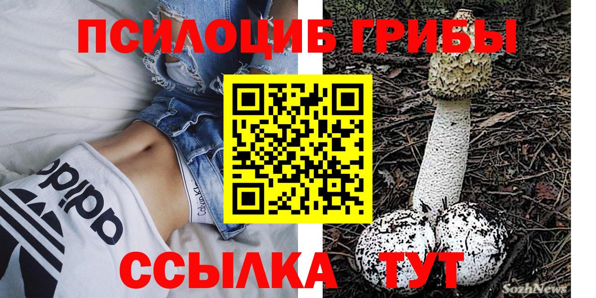 Псилоцибиновые грибы GOLDEN TEACHER Туапсе